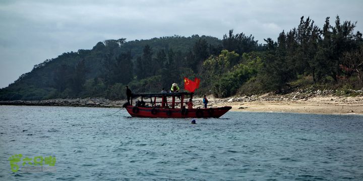 2014-03-27 三亚东岛+西岛串联横渡-创造新的历史！DSC08107