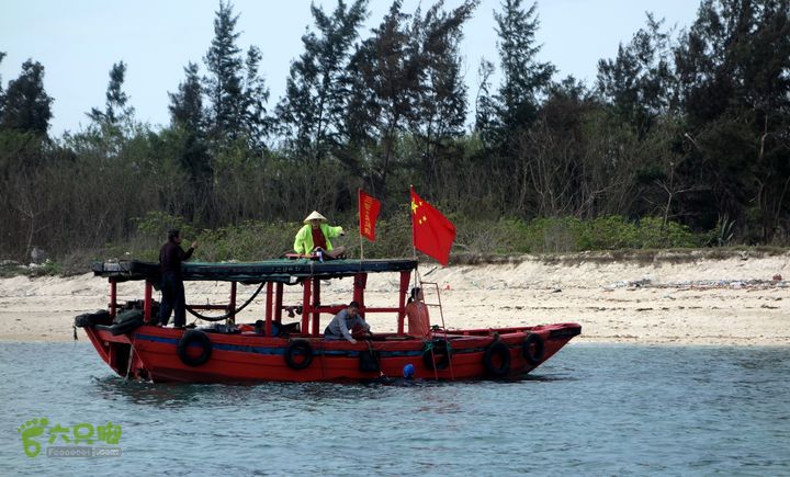 2014-03-27 三亚东岛+西岛串联横渡-创造新的历史！DSC08115