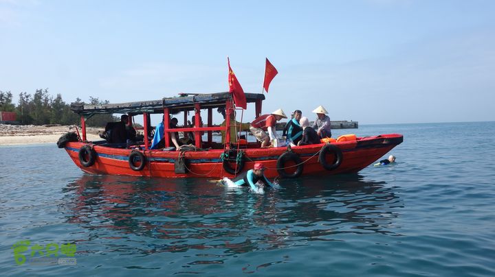 2014-03-27 三亚东岛+西岛串联横渡-创造新的历史！DSC08182