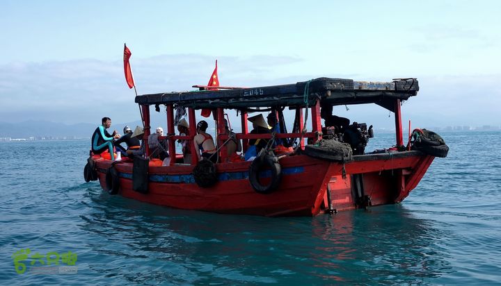 2014-03-27 三亚东岛+西岛串联横渡-创造新的历史！DSC08201