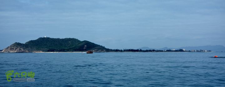 2014-03-27 三亚东岛+西岛串联横渡-创造新的历史！DSC08279