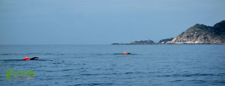 2014-03-27 三亚东岛+西岛串联横渡-创造新的历史！DSC08294