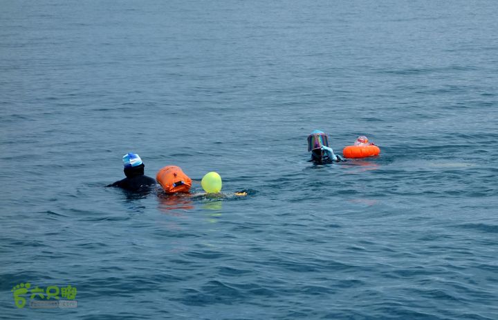 2014-03-27 三亚东岛+西岛串联横渡-创造新的历史！DSC08303