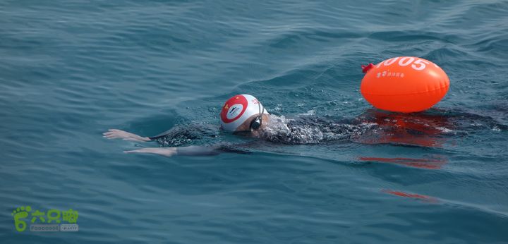 2014-03-27 三亚东岛+西岛串联横渡-创造新的历史！DSC08319