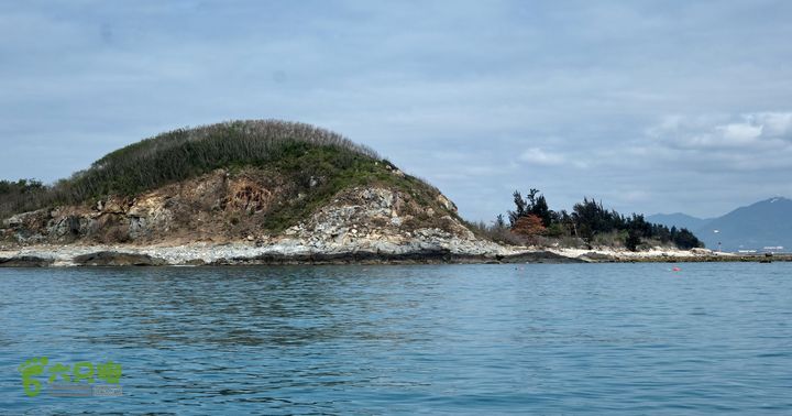 2014-03-27 三亚东岛+西岛串联横渡-创造新的历史！DSC08336