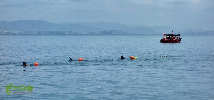 2014-03-27 三亚东岛+西岛串联横渡-创造新的历史！DSC08343