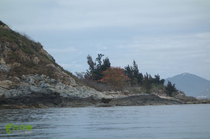 2014-03-27 三亚东岛+西岛串联横渡-创造新的历史！DSC08392