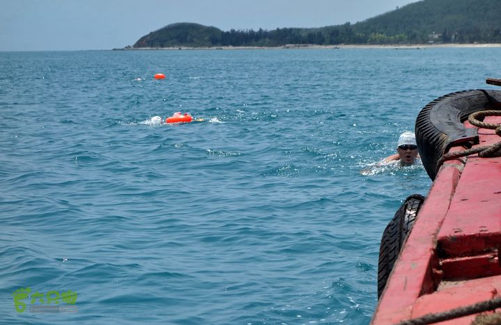 2014-03-27 三亚东岛+西岛串联横渡-创造新的历史！DSC08418