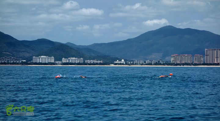 2014-03-27 三亚东岛+西岛串联横渡-创造新的历史！DSC08431