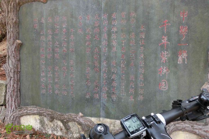 安徽岳西妙道山4+2两日游探路20140330  10：50高山沼泽千年紫柳园