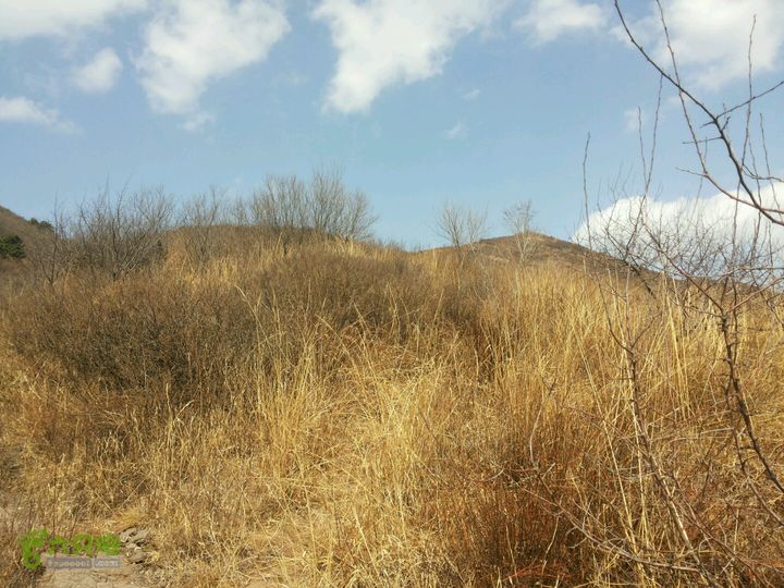 云瀑沟 野猪窝 五间房 五里坡 玉渡 野山峡 二日徒步路线据说右前方就是半豆腐山