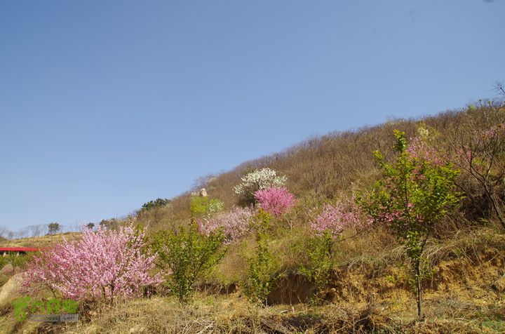 2014.04.05小珠山IMGP6512