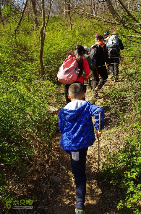 2014.04.05小珠山IMGP6518