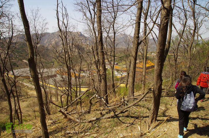 2014.04.05小珠山IMGP6525