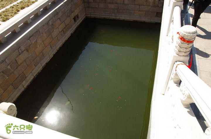 2014.04.05小珠山IMGP6532