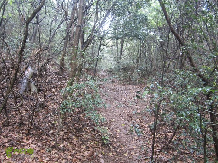 【囧】梅锡-一线天-五子洞桥-芝岭-岭墩-梅锡2014013 (21)