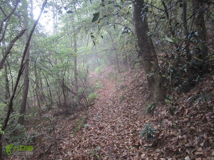 【囧】梅锡-一线天-五子洞桥-芝岭-岭墩-梅锡2014013 (22)