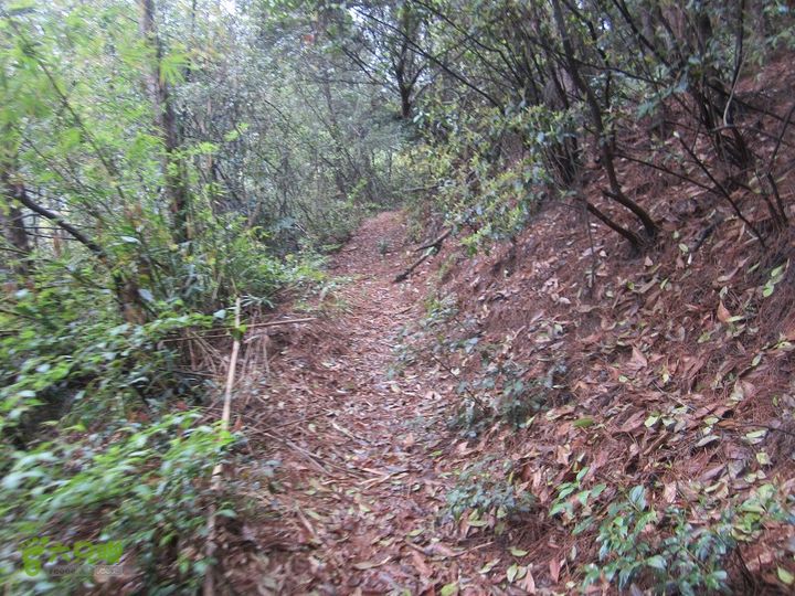 【囧】梅锡-一线天-五子洞桥-芝岭-岭墩-梅锡2014013 (24)