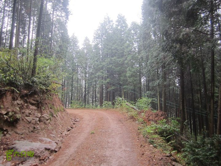 【囧】梅锡-一线天-五子洞桥-芝岭-岭墩-梅锡2014013 (29)