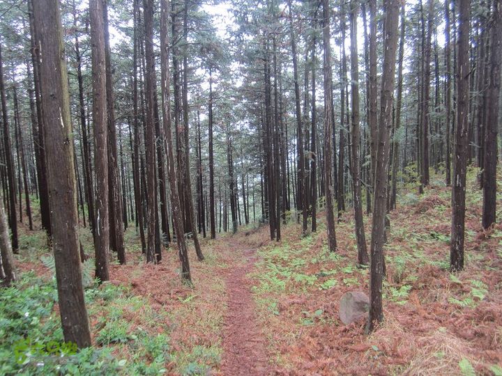 【囧】梅锡-一线天-五子洞桥-芝岭-岭墩-梅锡2014013 (30)