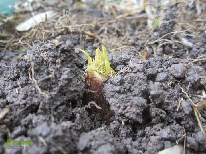 【囧】梅锡-一线天-五子洞桥-芝岭-岭墩-梅锡2014013 (31)