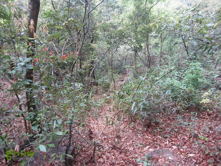 【囧】梅锡-一线天-五子洞桥-芝岭-岭墩-梅锡2014013 (32)