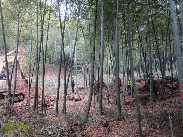 【囧】梅锡-一线天-五子洞桥-芝岭-岭墩-梅锡2014013 (33)