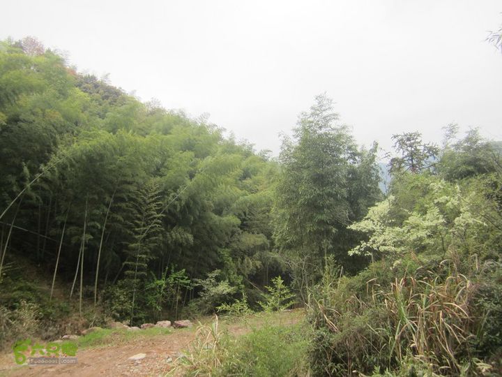 【囧】梅锡-一线天-五子洞桥-芝岭-岭墩-梅锡2014013 (34)