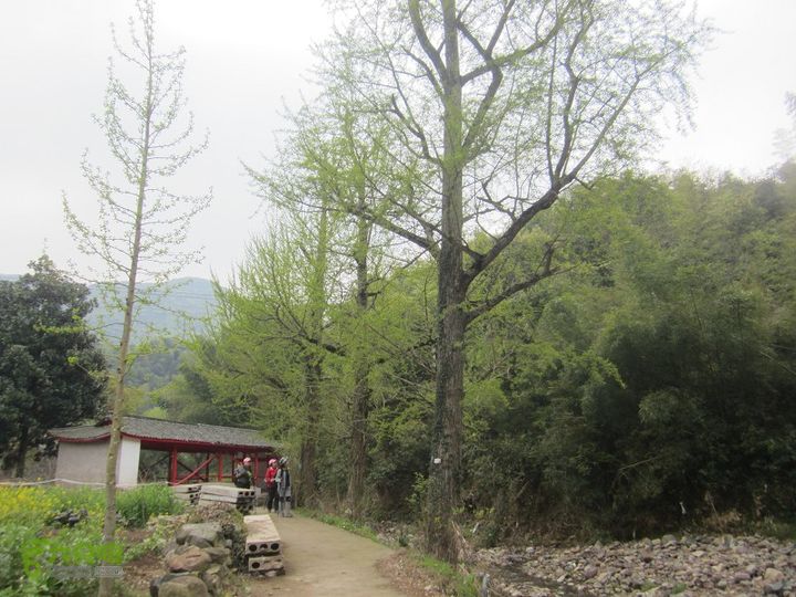 【囧】梅锡-一线天-五子洞桥-芝岭-岭墩-梅锡2014013 (37)