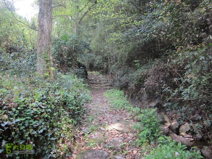 【囧】梅锡-一线天-五子洞桥-芝岭-岭墩-梅锡2014013 (39)