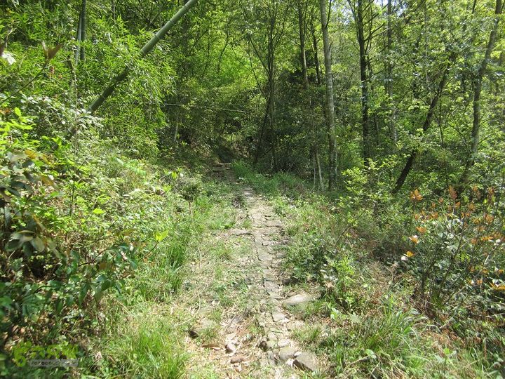 【囧】梅锡-一线天-五子洞桥-芝岭-岭墩-梅锡2014013 (40)