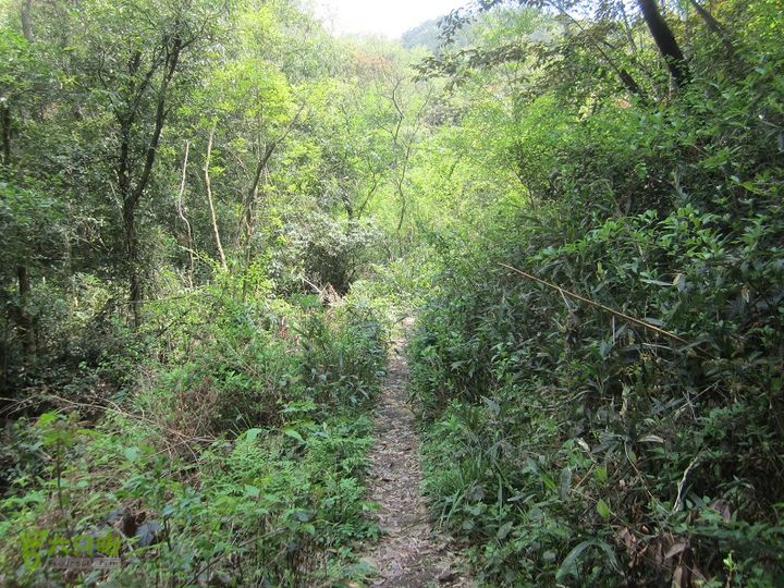 【囧】梅锡-一线天-五子洞桥-芝岭-岭墩-梅锡2014013 (42)