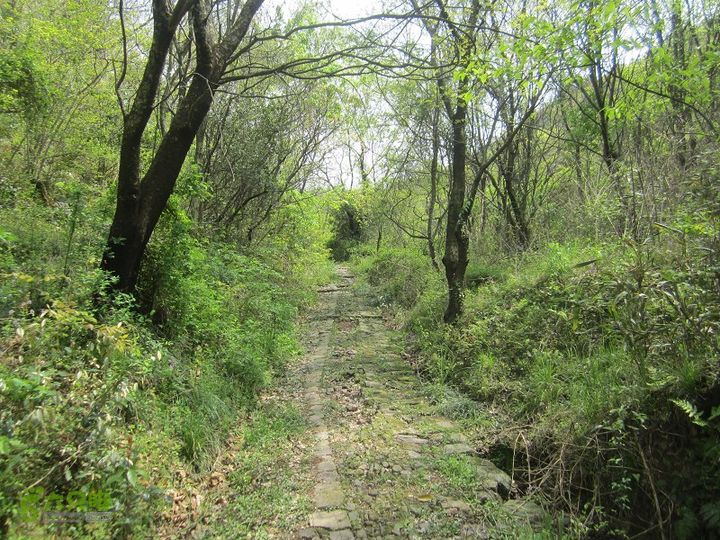 【囧】梅锡-一线天-五子洞桥-芝岭-岭墩-梅锡2014013 (43)