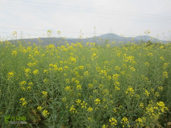 【囧】梅锡-一线天-五子洞桥-芝岭-岭墩-梅锡2014013 (51)