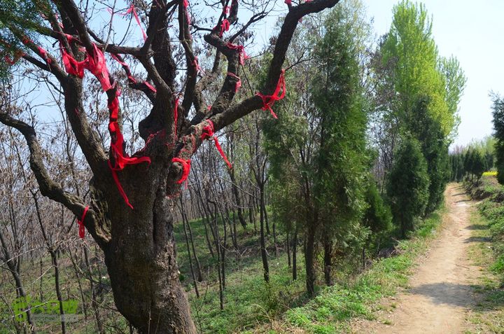 骑行周至九峰乡登虎头山魁星楼DSC_0101