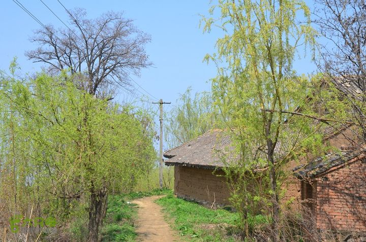 骑行周至九峰乡登虎头山魁星楼DSC_0103
