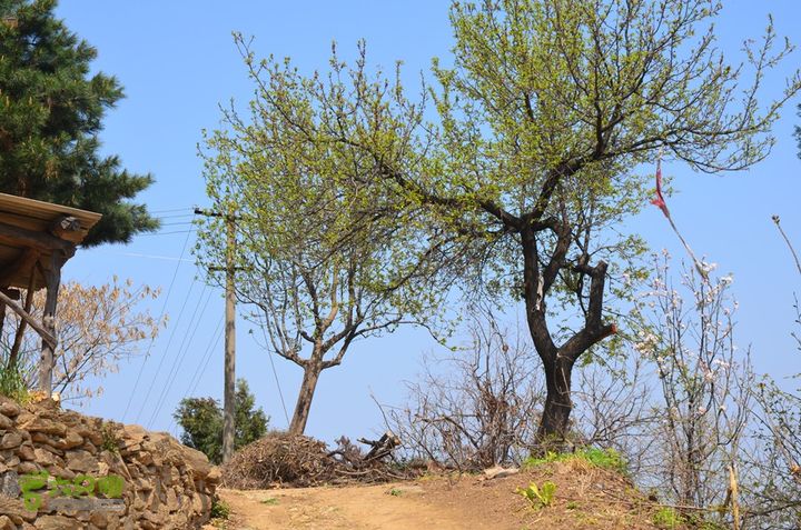 骑行周至九峰乡登虎头山魁星楼DSC_0111