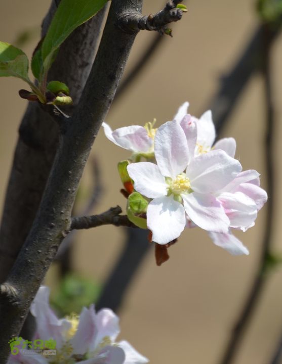 骑行周至九峰乡登虎头山魁星楼DSC_0115