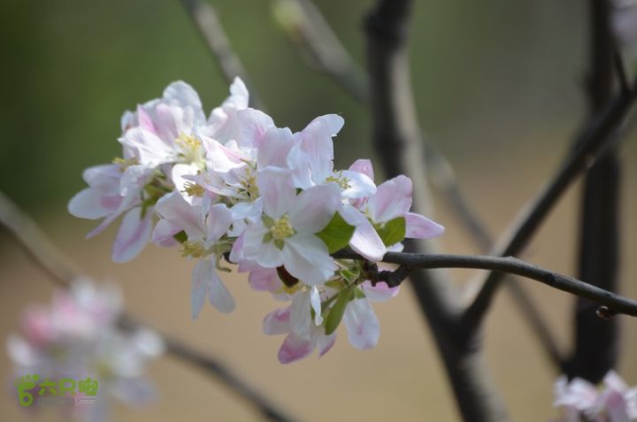 骑行周至九峰乡登虎头山魁星楼DSC_0116