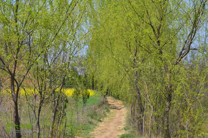 骑行周至九峰乡登虎头山魁星楼DSC_0119
