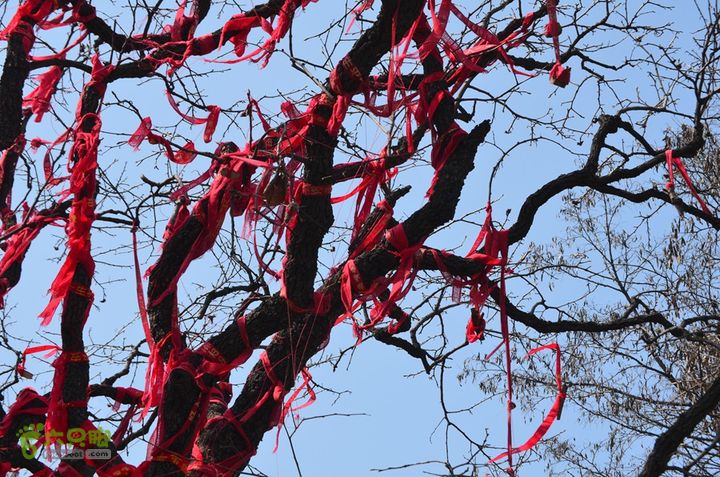 骑行周至九峰乡登虎头山魁星楼DSC_0121