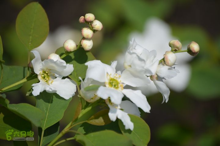 骑行周至九峰乡登虎头山魁星楼DSC_0126