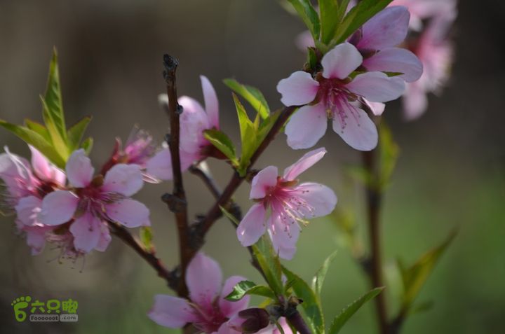 骑行周至九峰乡登虎头山魁星楼DSC_0145