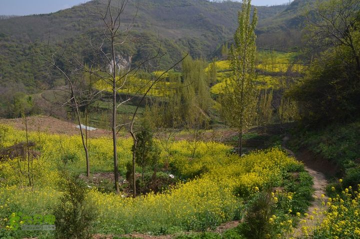 骑行周至九峰乡登虎头山魁星楼DSC_0146