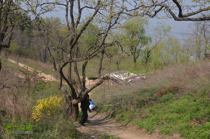 骑行周至九峰乡登虎头山魁星楼DSC_0148