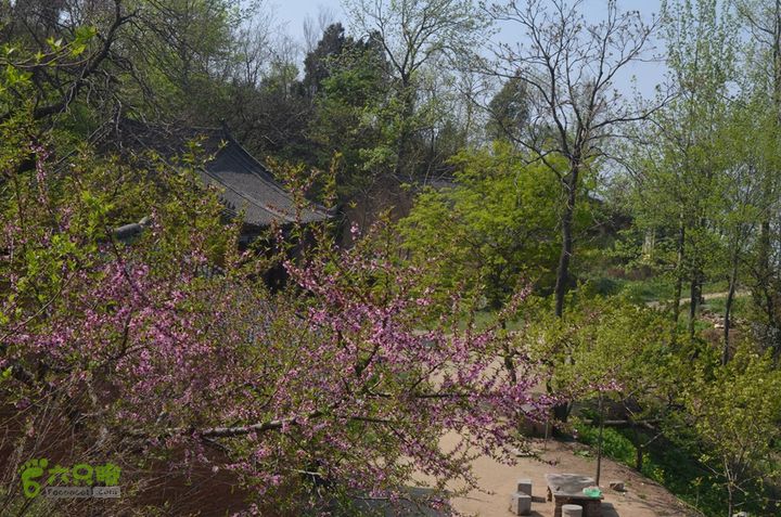 骑行周至九峰乡登虎头山魁星楼DSC_0158