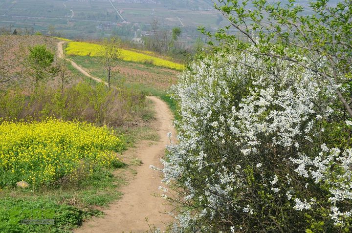 骑行周至九峰乡登虎头山魁星楼DSC_0162