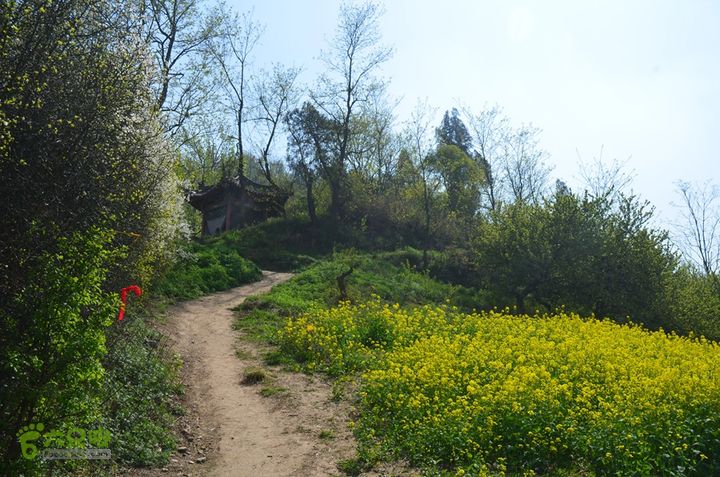 骑行周至九峰乡登虎头山魁星楼DSC_0163