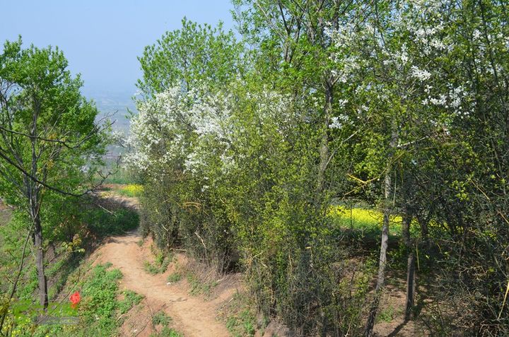 骑行周至九峰乡登虎头山魁星楼DSC_0168