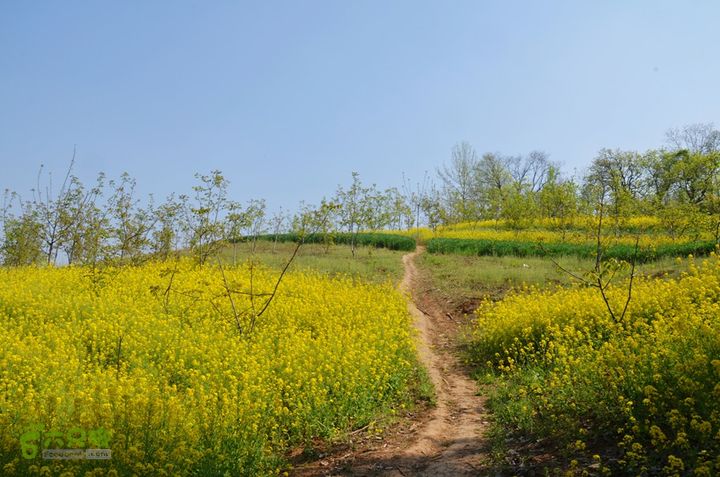 骑行周至九峰乡登虎头山魁星楼DSC_0172